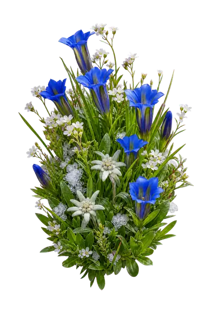 Alpine Meadow motif