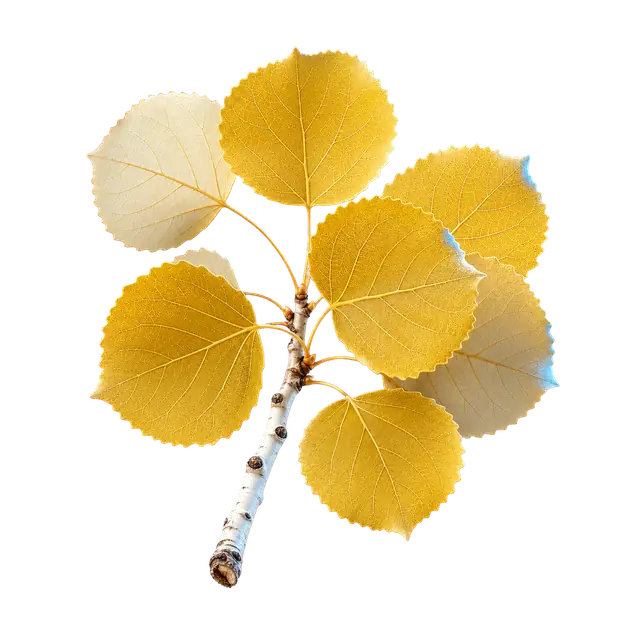 Aspen Leaf motif