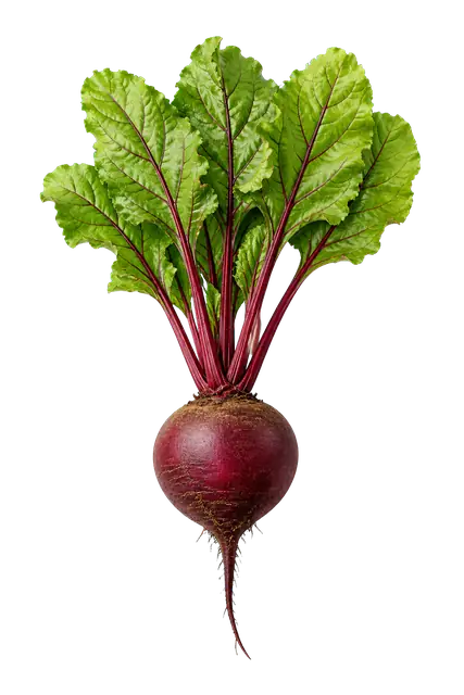 Beetroot motif