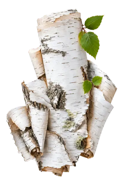 Birch Bark motif