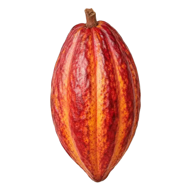 Cacao Pod motif