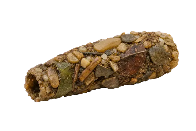 Caddisfly Case motif