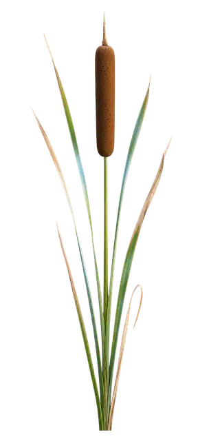 Cattail Reed motif