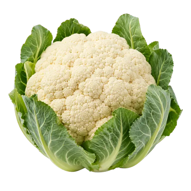 Cauliflower Curd motif