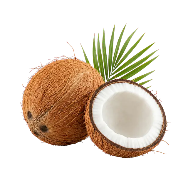 Coconut motif