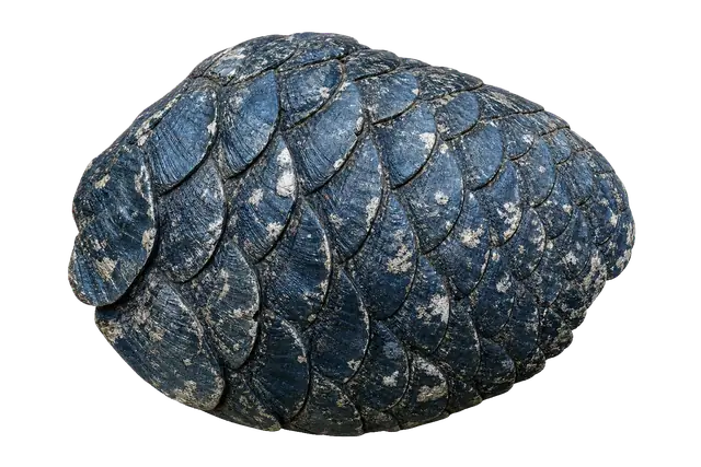 Coelacanth motif