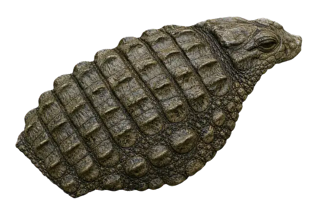 Crocodile Scales motif