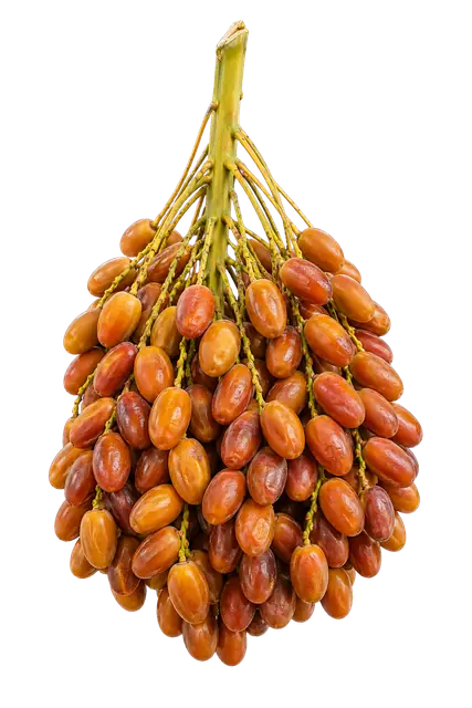 Date Palm motif