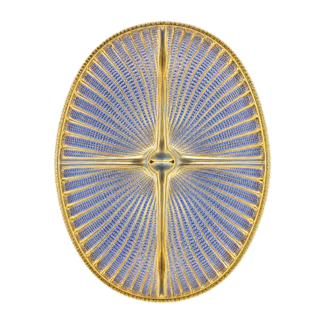 Diatom motif