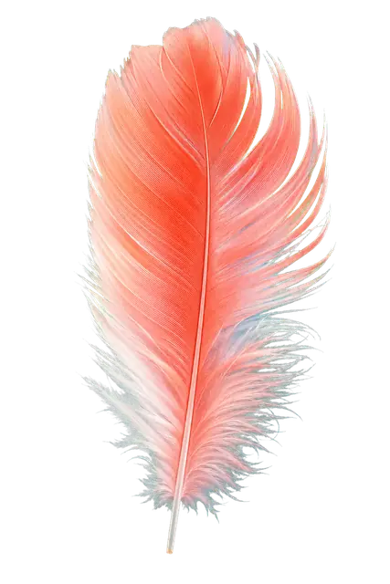 Flamingo motif