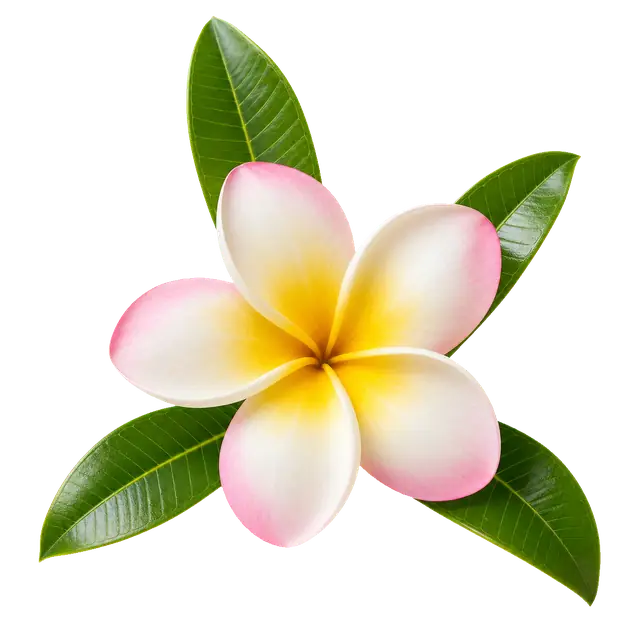 Frangipani motif