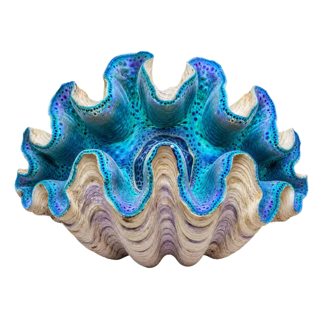 Giant Clam motif