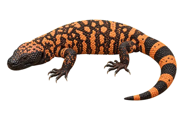 Gila Monster Pattern motif