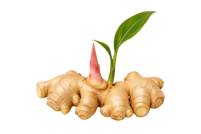 Ginger motif
