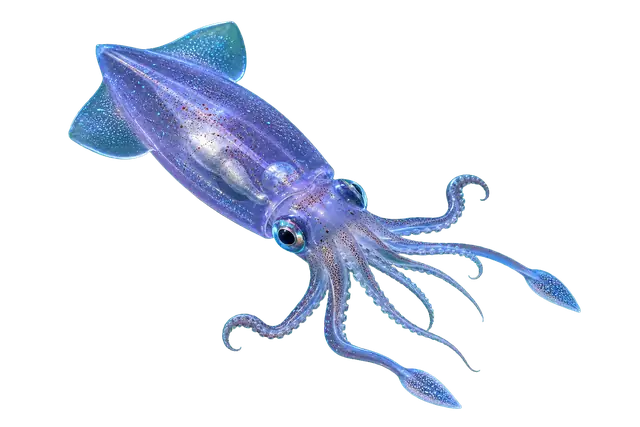 Glass Squid motif