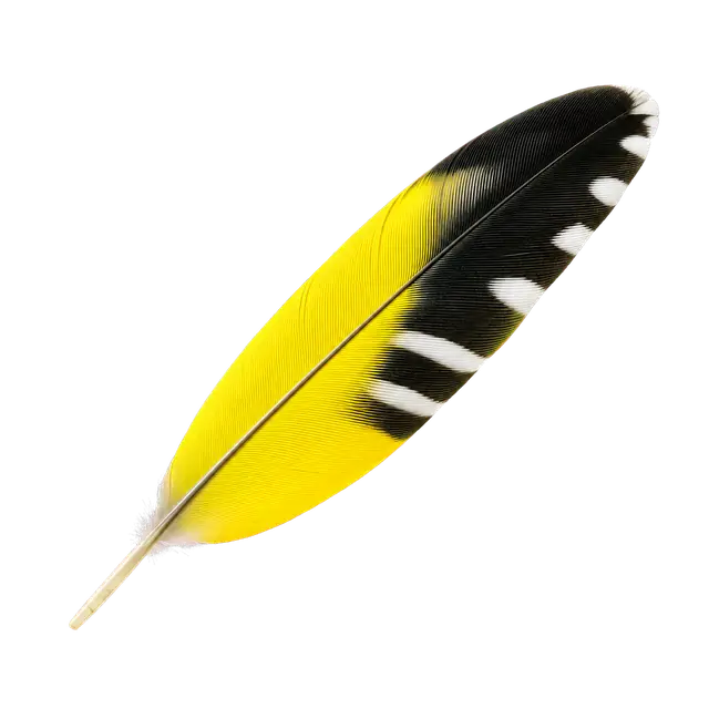 Goldfinch Feather motif