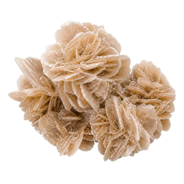 Gypsum Rose motif