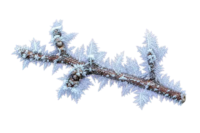 Hoarfrost motif