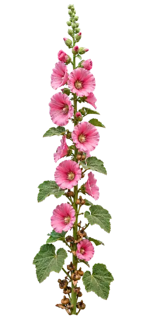 Hollyhock Tower motif