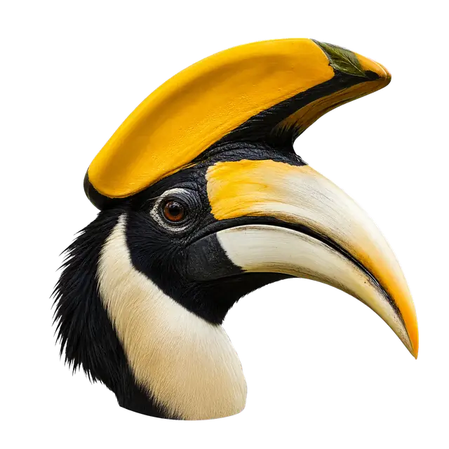 Hornbill Casque motif