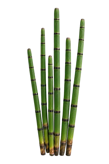 Horsetail motif