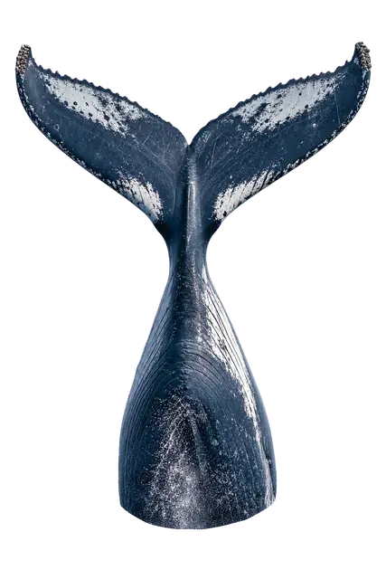 Humpback Whale motif