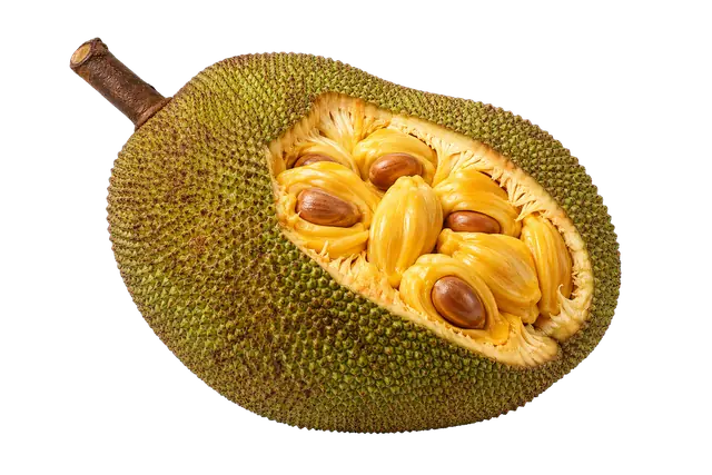 Jackfruit Pod motif