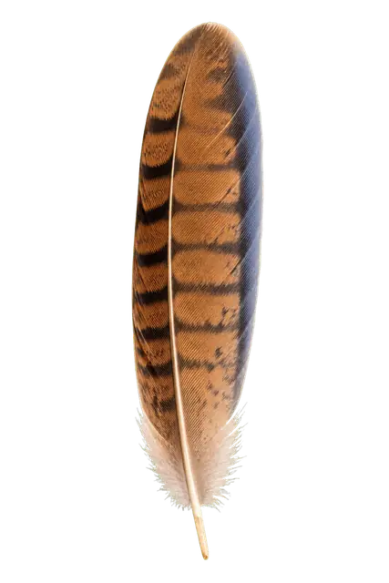 Kestrel motif
