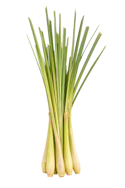 Lemongrass motif