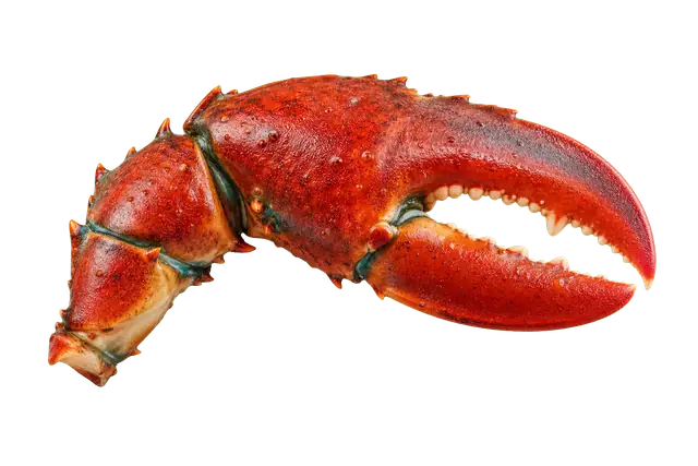 Lobster motif