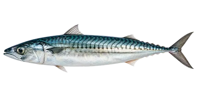 Mackerel motif