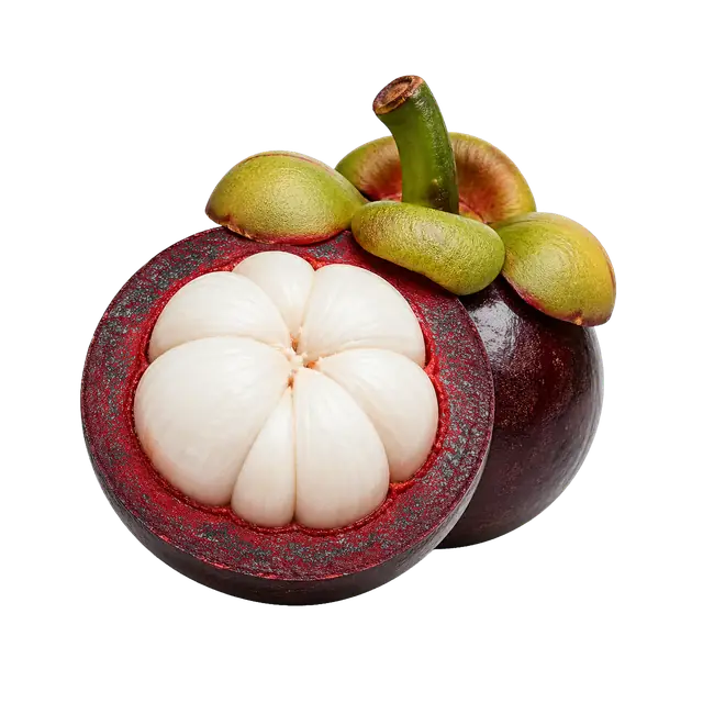 Mangosteen Cross Section motif