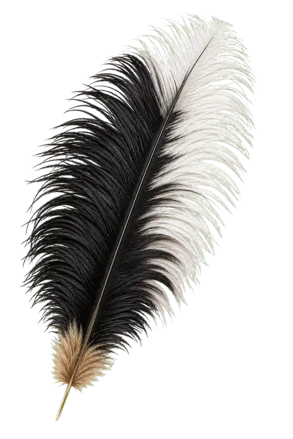 Ostrich motif