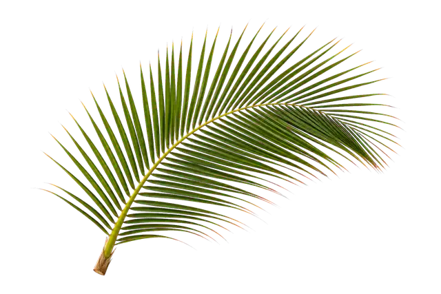 Palm Frond motif