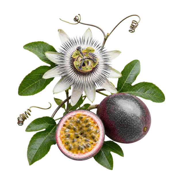 Passionfruit motif