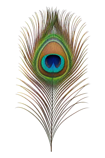 Peacock motif