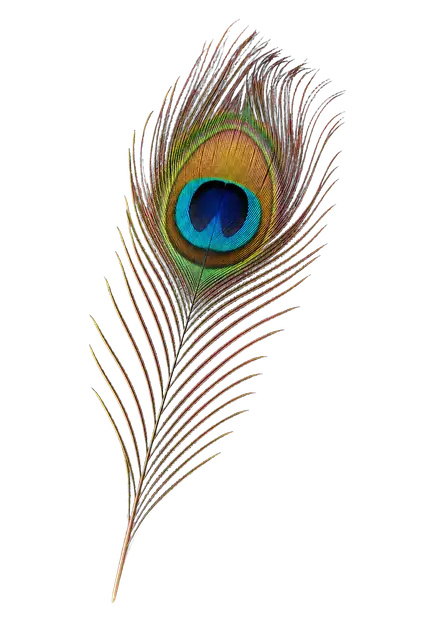Peafowl Feather motif