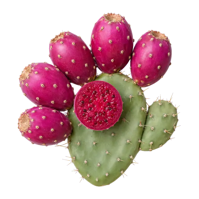 Prickly Pear motif