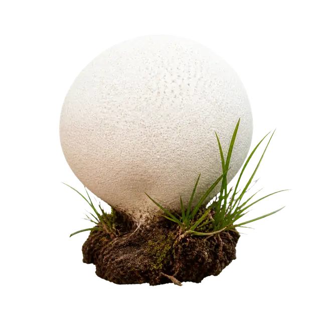 Puffball motif