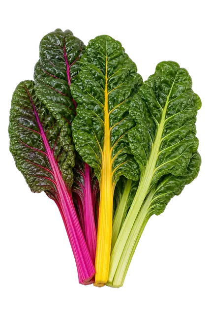 Rainbow Chard motif