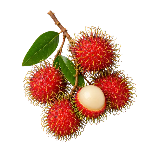 Rambutan Fruit motif