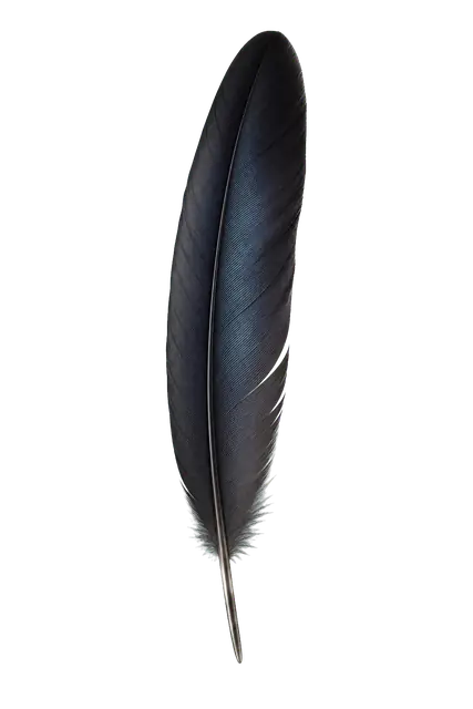 Raven Feather motif