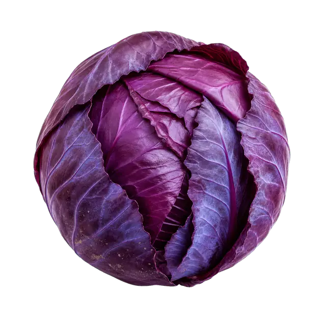 Red Cabbage motif