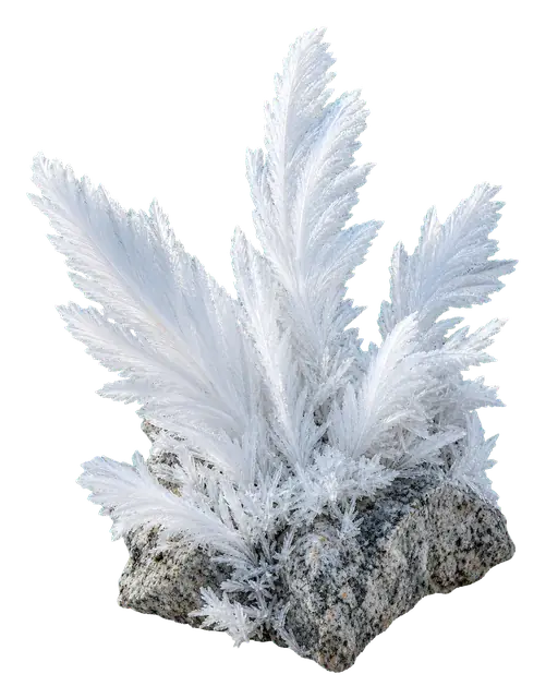 Rime Ice motif