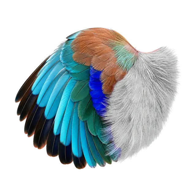 Lilac Breasted Roller motif