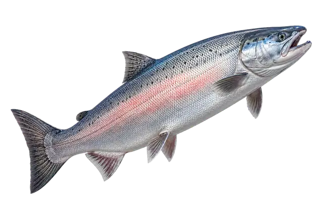 Salmon Scale and Run motif