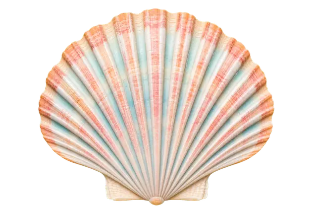 Scallop motif