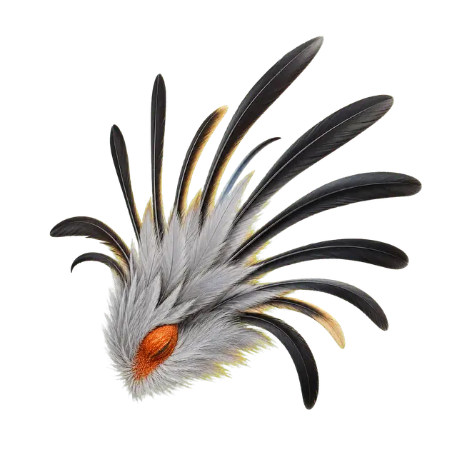 Secretary Bird motif