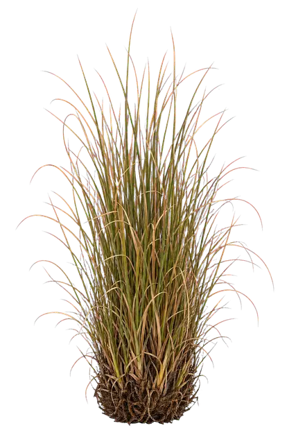 Sedge Tuft motif