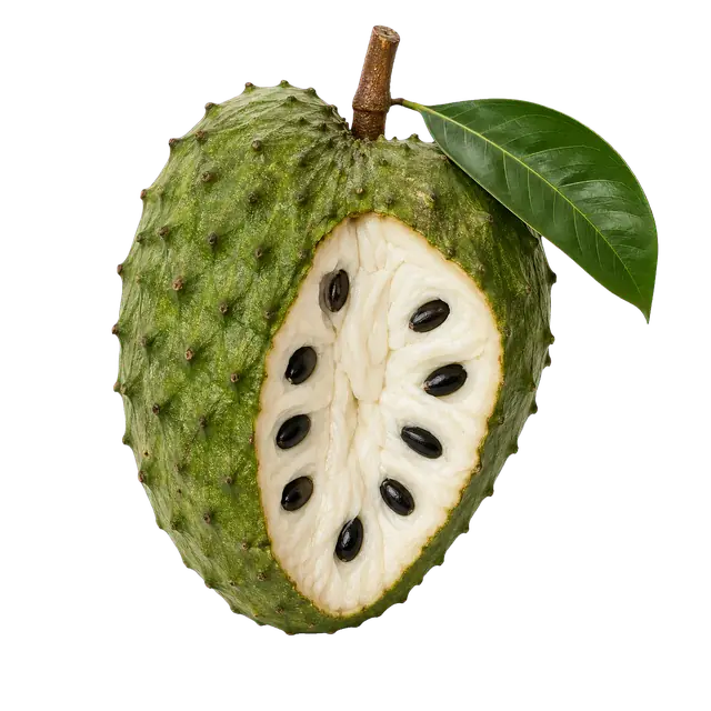 Soursop Fruit motif